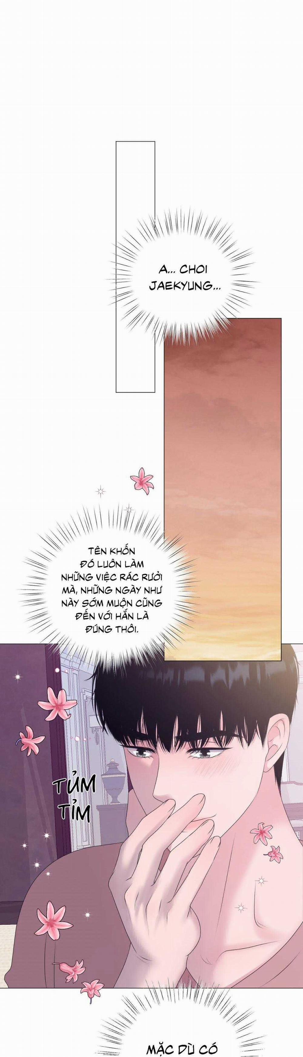 Tiền Bối Của Anh 15 trang 11