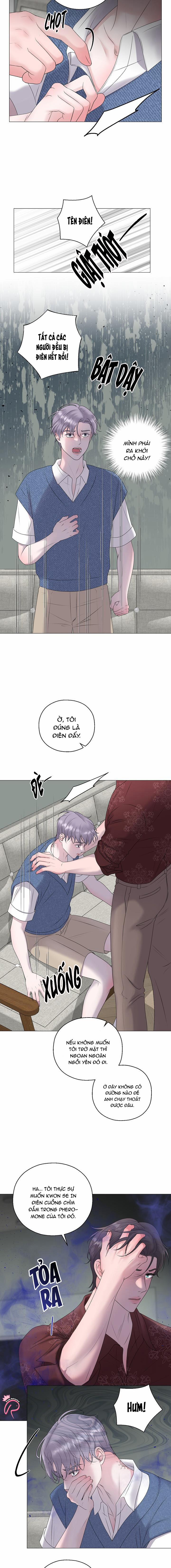 Tiền Bối Của Anh 27 trang 5