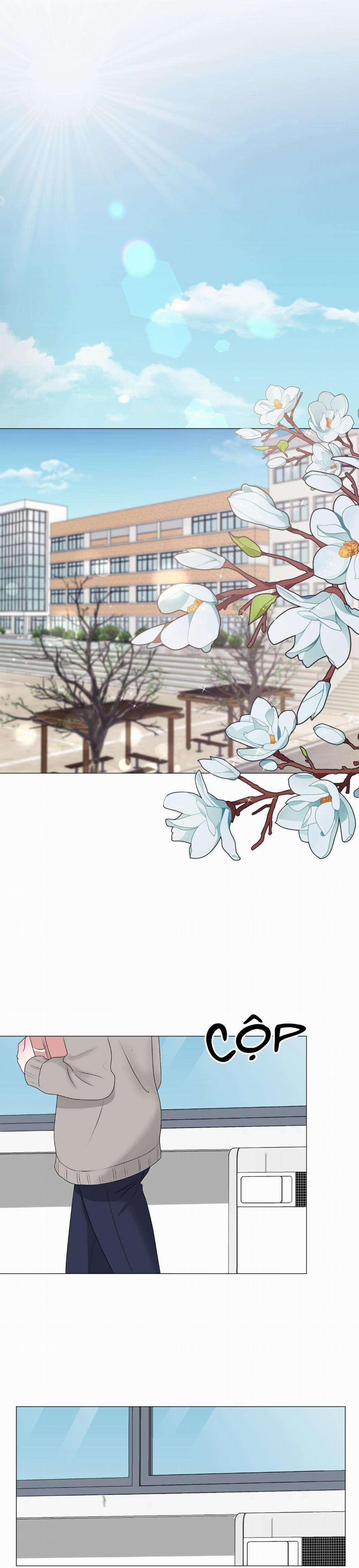 Tiền Bối Của Anh 8 trang 0