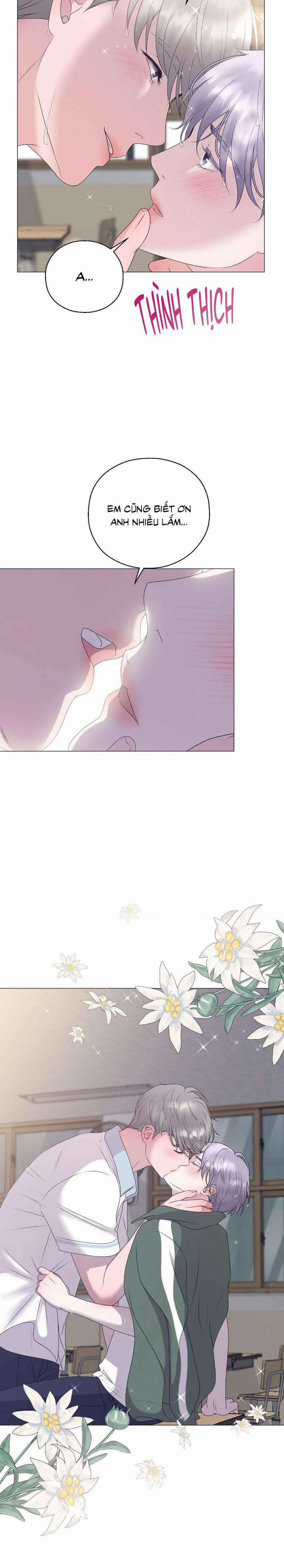 Tiền Bối Của Anh 8 trang 32