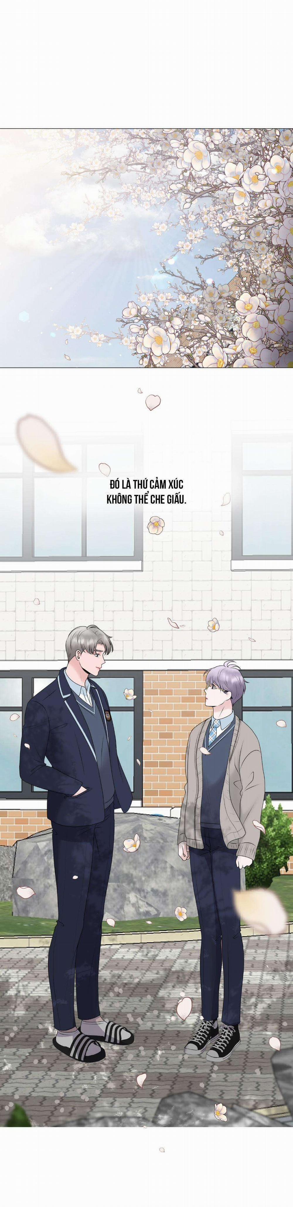 Tiền Bối Của Anh 8 trang 5