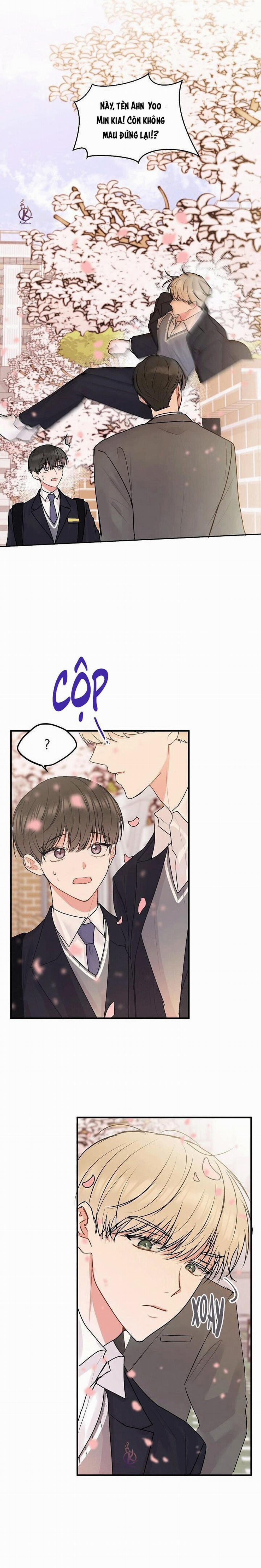 Tiền bối, đừng khóc mà! 36.5 trang 4