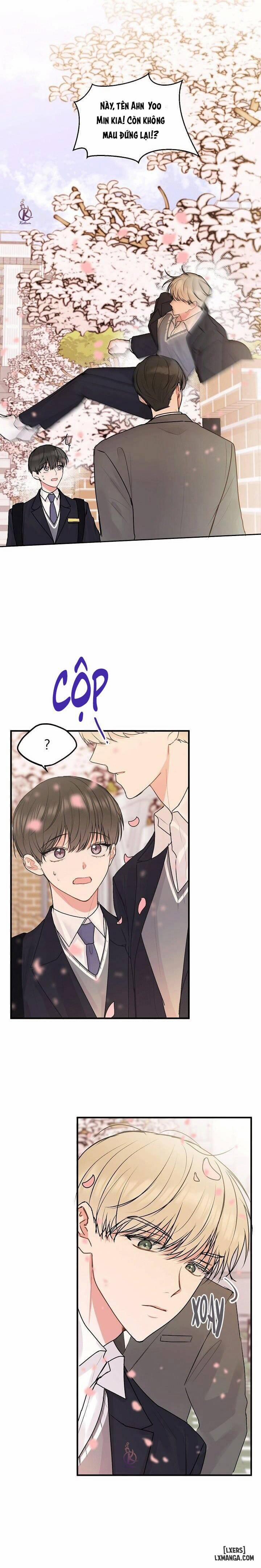 Tiền bối, đừng khóc mà! 36 trang 12