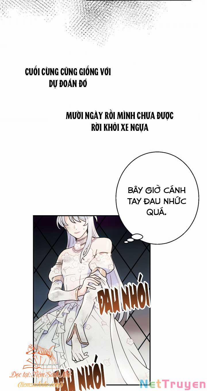 Tiền Là Tất Cả Chồng Là Phù Du 1 trang 60