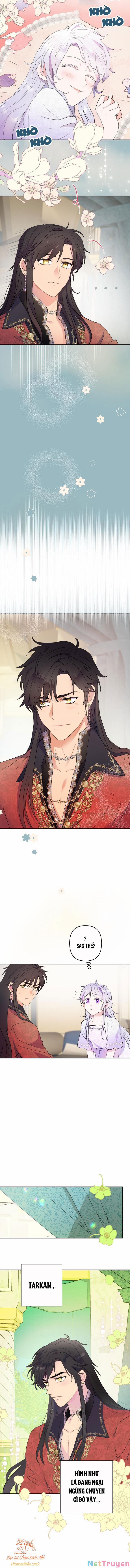 Tiền Là Tất Cả Chồng Là Phù Du 16 trang 10