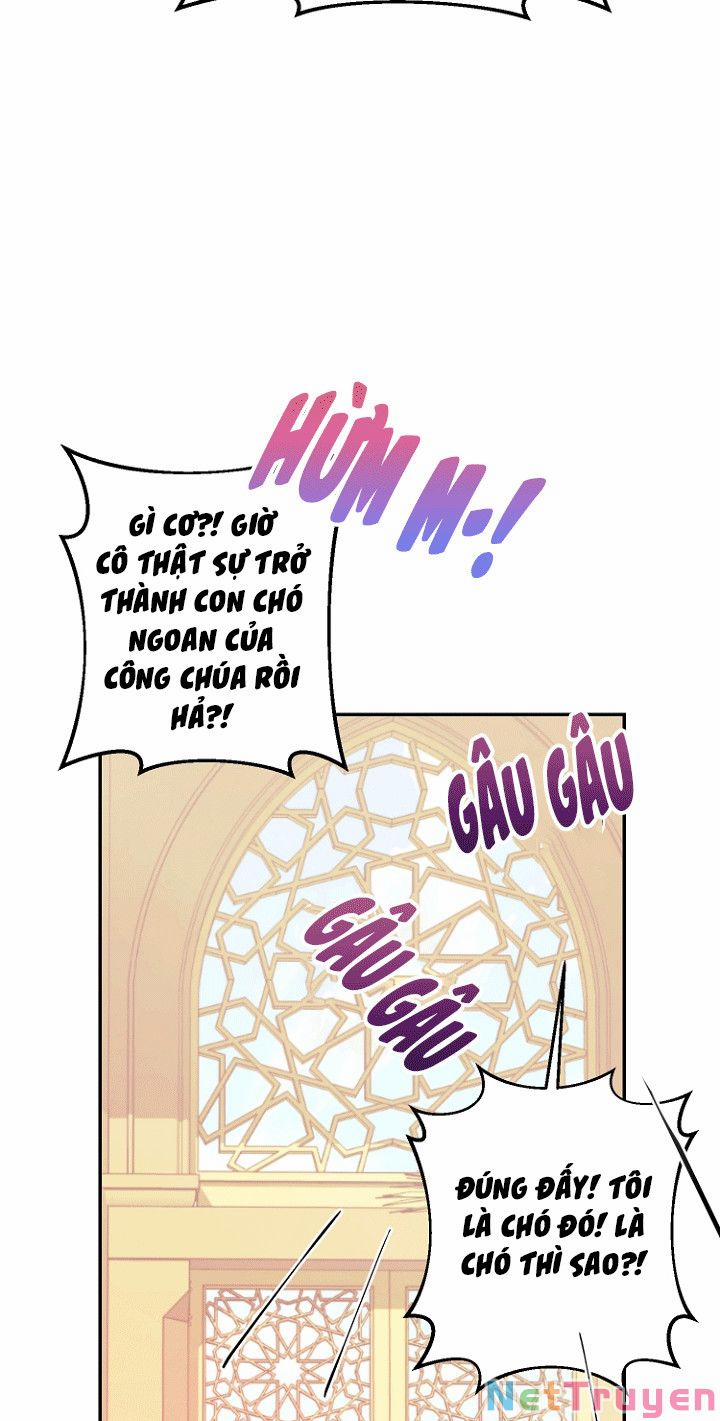 Tiền Là Tất Cả Chồng Là Phù Du 21 trang 10