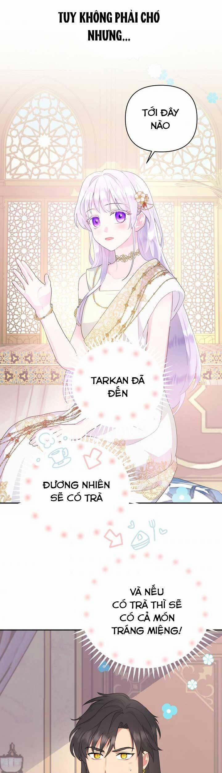 Tiền Là Tất Cả Chồng Là Phù Du 22 trang 5