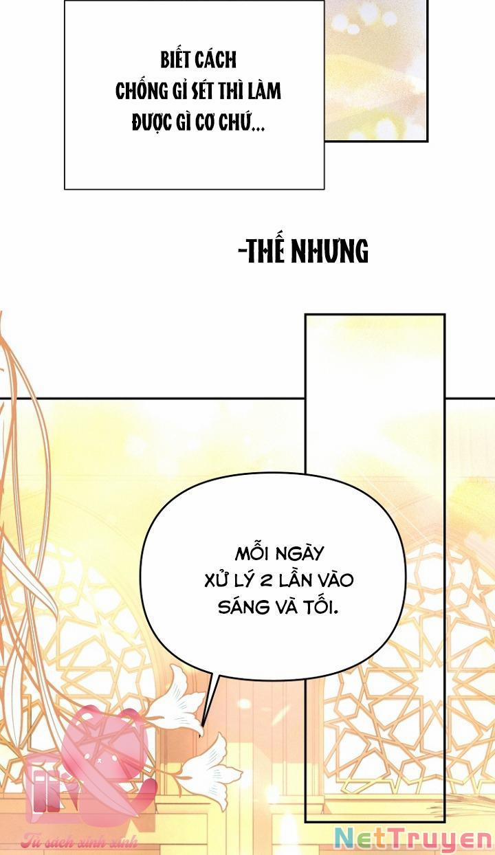 Tiền Là Tất Cả Chồng Là Phù Du 24 trang 42