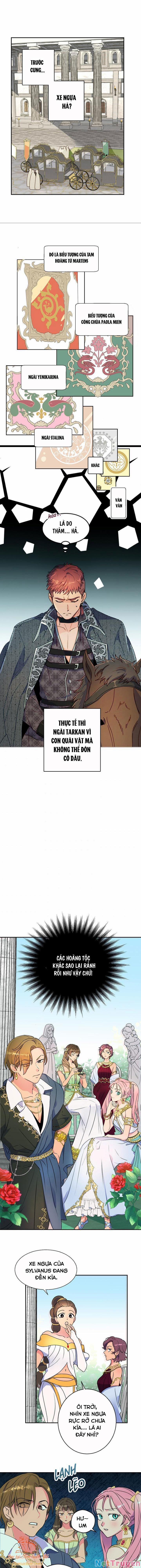 Tiền Là Tất Cả Chồng Là Phù Du 3 trang 16