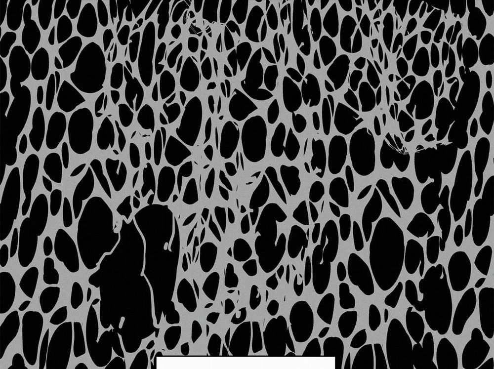 Tiến Về Phía Anh 33 trang 70