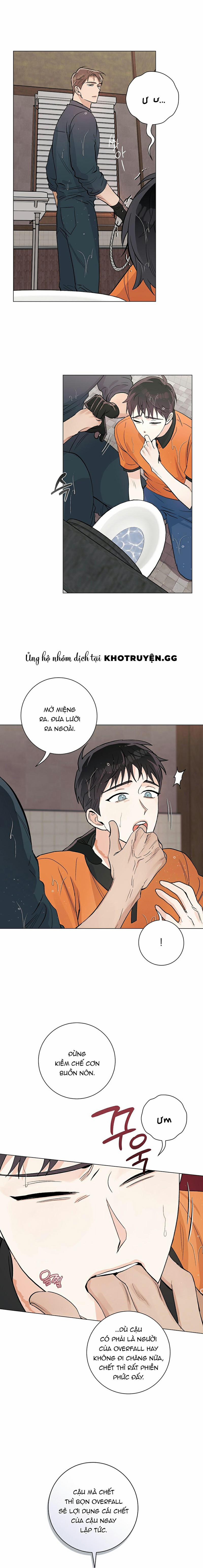 Tiếng Đập Con Tim 11 trang 16