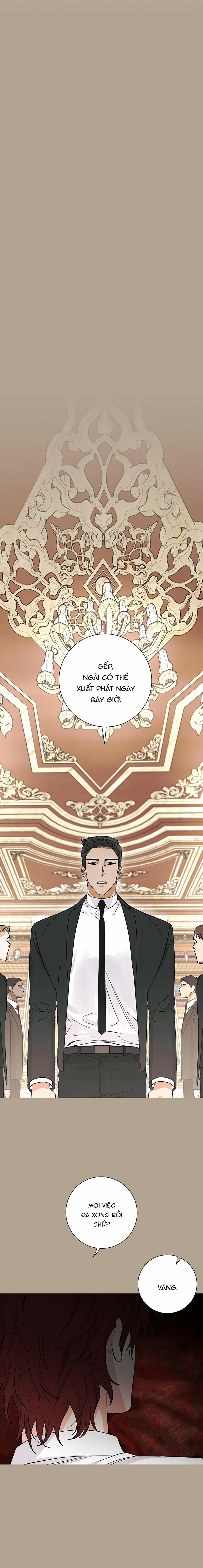 Tiếng Đập Con Tim 11 trang 19