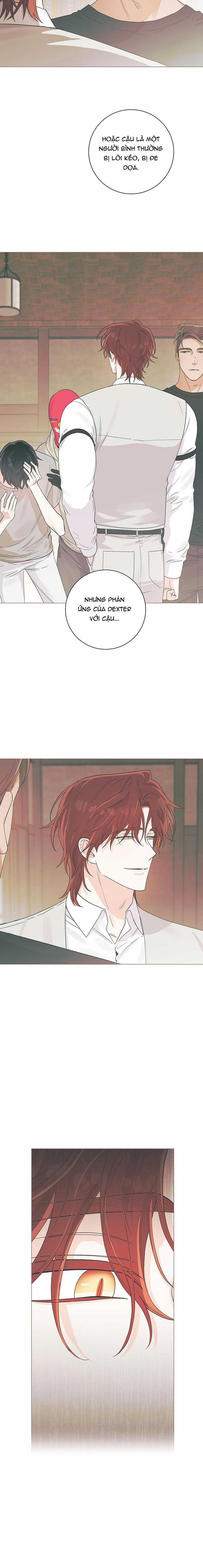 Tiếng Đập Con Tim 14 trang 2