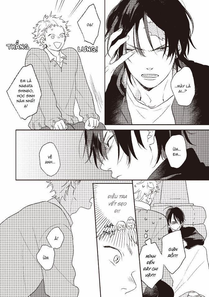 Tiếng Sét Ái Tình 1 trang 13