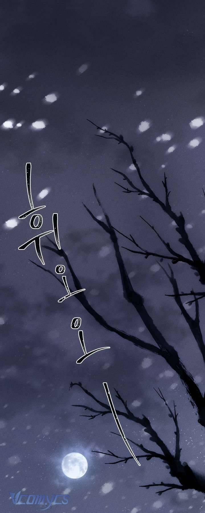 Tiếng Trống Vang Dội 1 trang 0