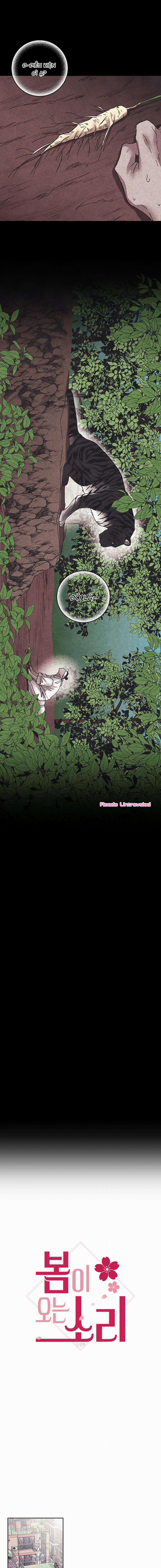 Tiếng Xuân Về Bên Anh 1 trang 3