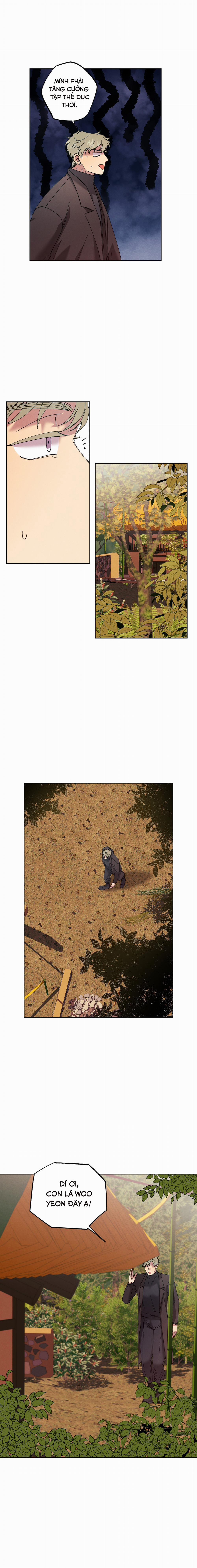 Tiếng Xuân Về Bên Anh 40 trang 10