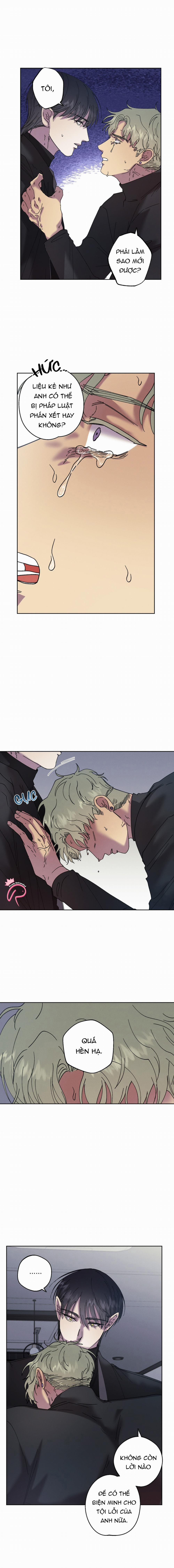 Tiếng Xuân Về Bên Anh 42 trang 11