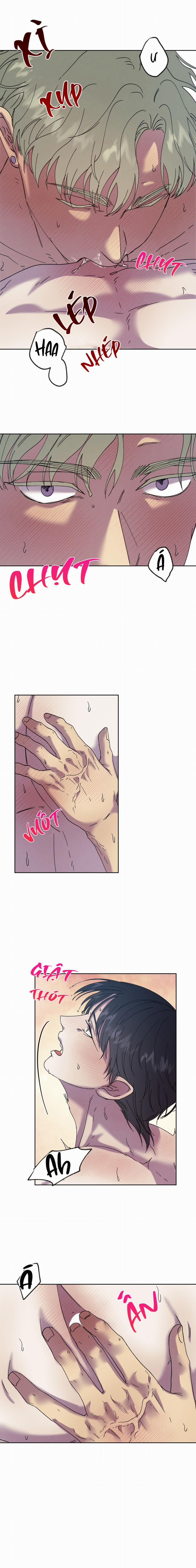 Tiếng Xuân Về Bên Anh 43 trang 11