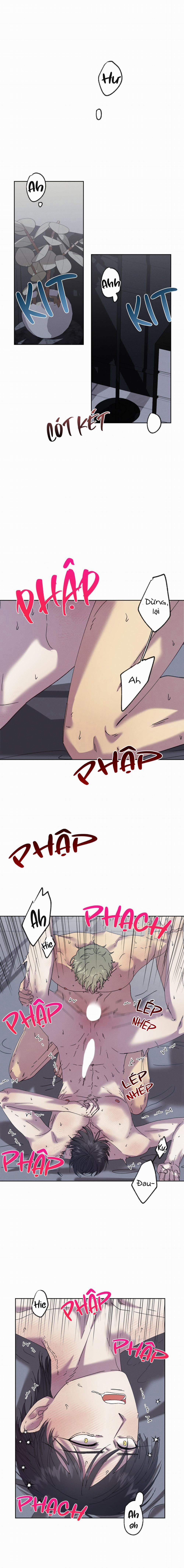 Tiếng Xuân Về Bên Anh 44 trang 1