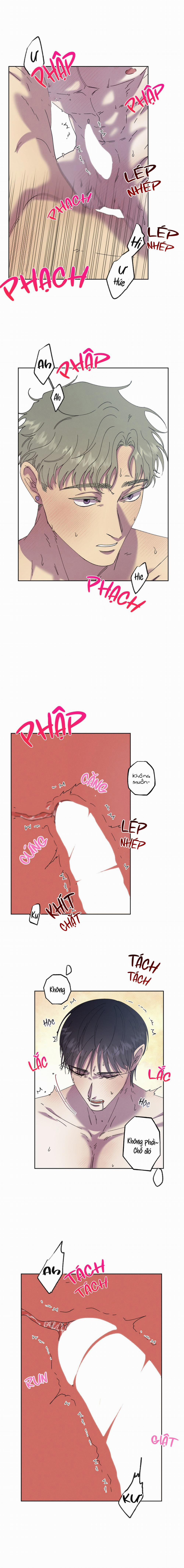 Tiếng Xuân Về Bên Anh 44 trang 11