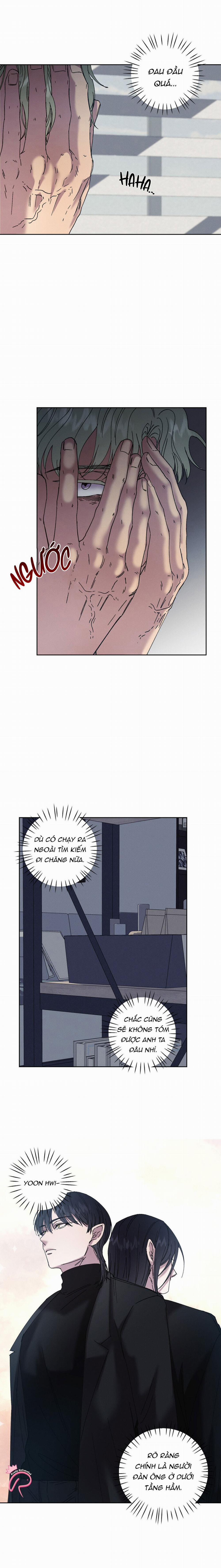 Tiếng Xuân Về Bên Anh 49 trang 2