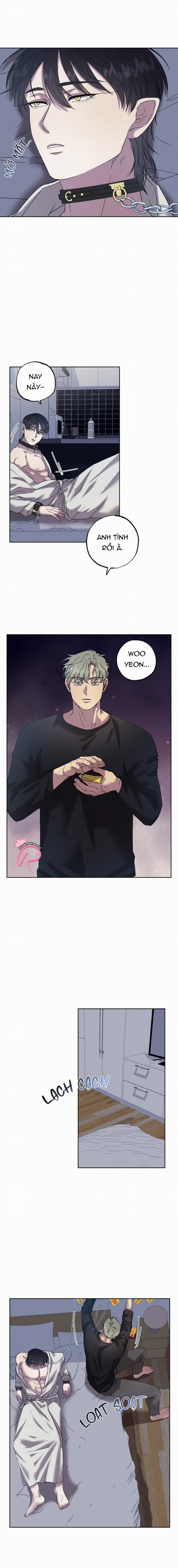 Tiếng Xuân Về Bên Anh 52 trang 2