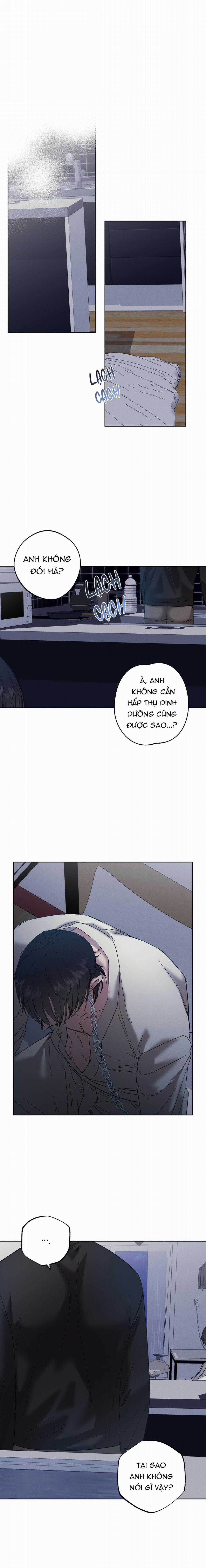 Tiếng Xuân Về Bên Anh 52 trang 5