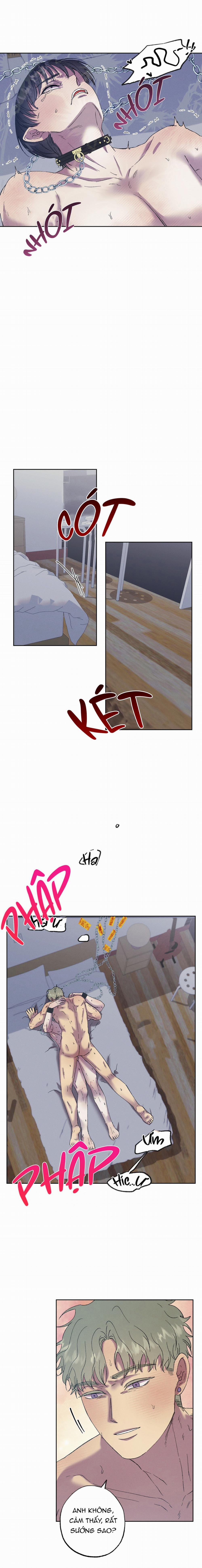 Tiếng Xuân Về Bên Anh 53 trang 6