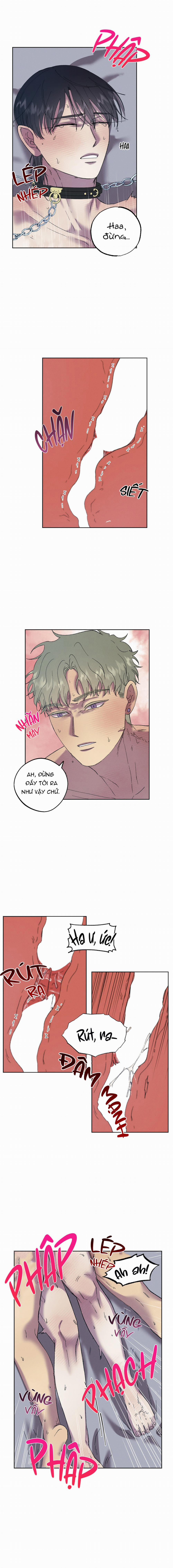 Tiếng Xuân Về Bên Anh 53 trang 7