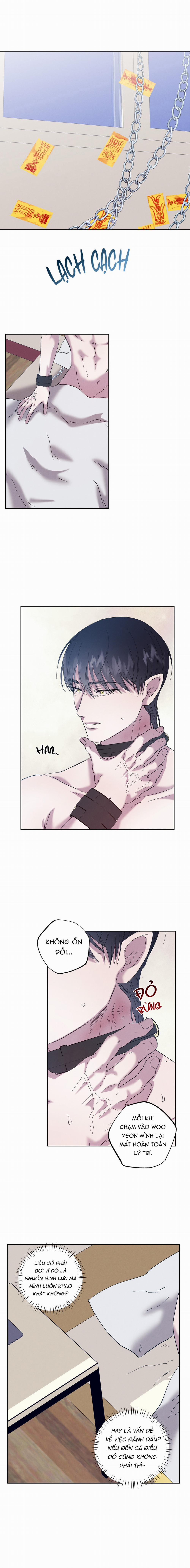 Tiếng Xuân Về Bên Anh 54 trang 9