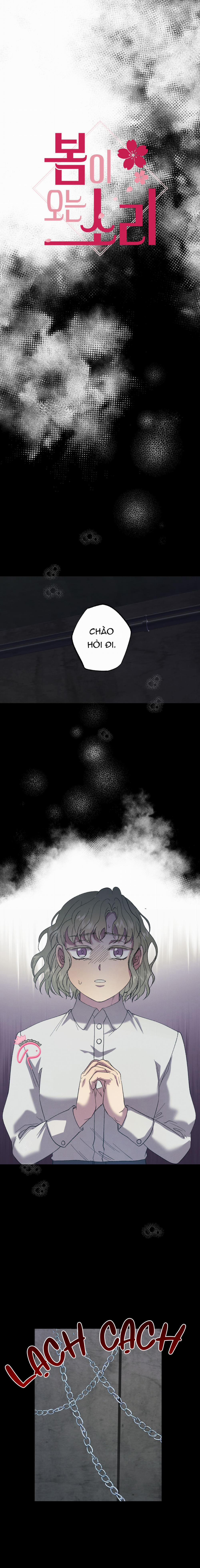 Tiếng Xuân Về Bên Anh 55 trang 1