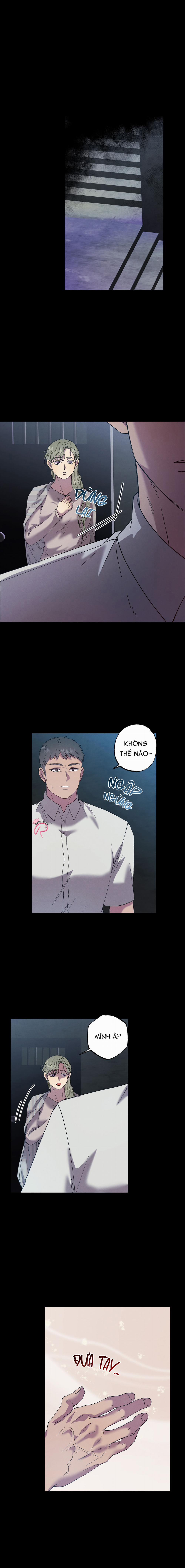 Tiếng Xuân Về Bên Anh 55 trang 6