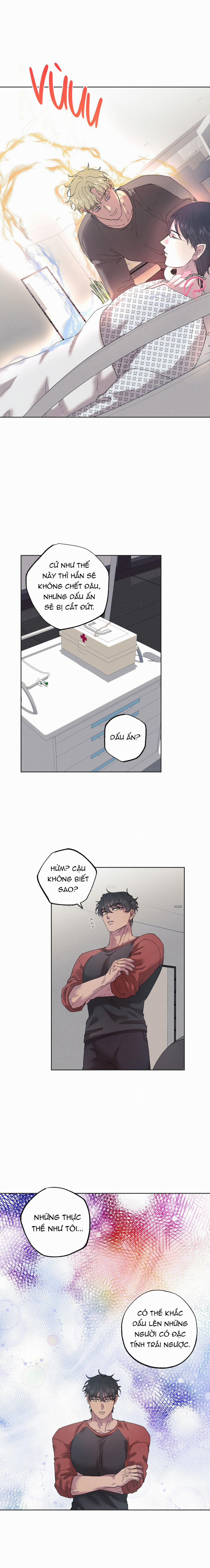 Tiếng Xuân Về Bên Anh 56 trang 10