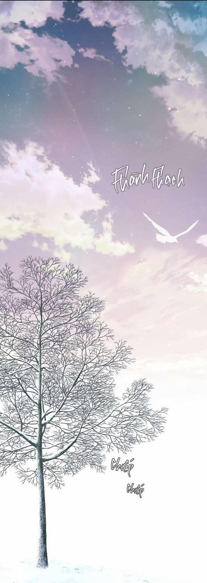 TIỂU BÁ TƯỚC BETA NAY ĐÃ KHÁC XƯA 3.1 trang 0