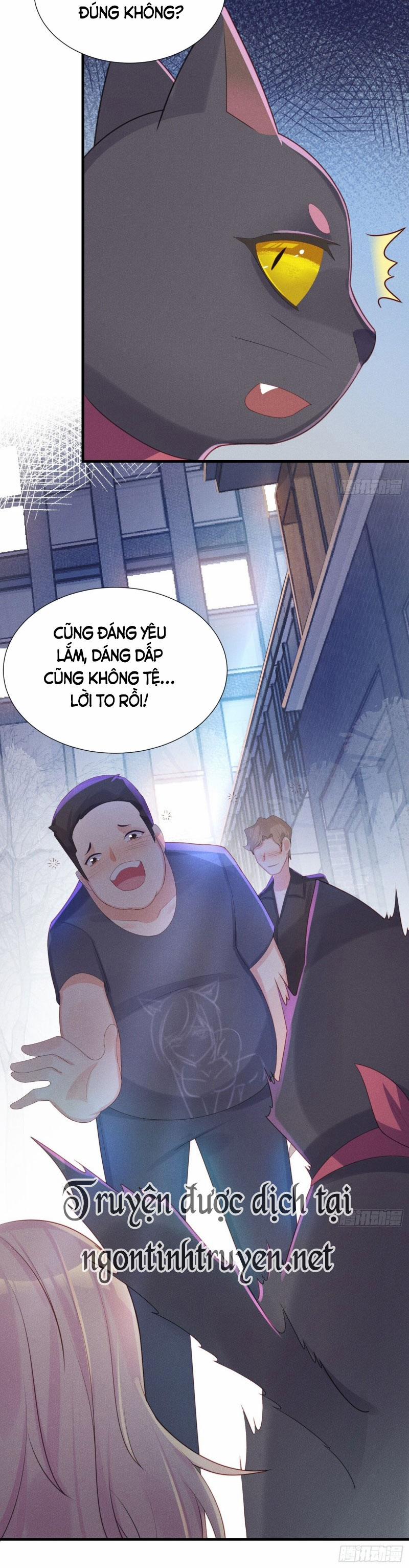 Tiểu Cá Koi Độc Quyền Của Ông Trùm Đỉnh Lưu 10 trang 19