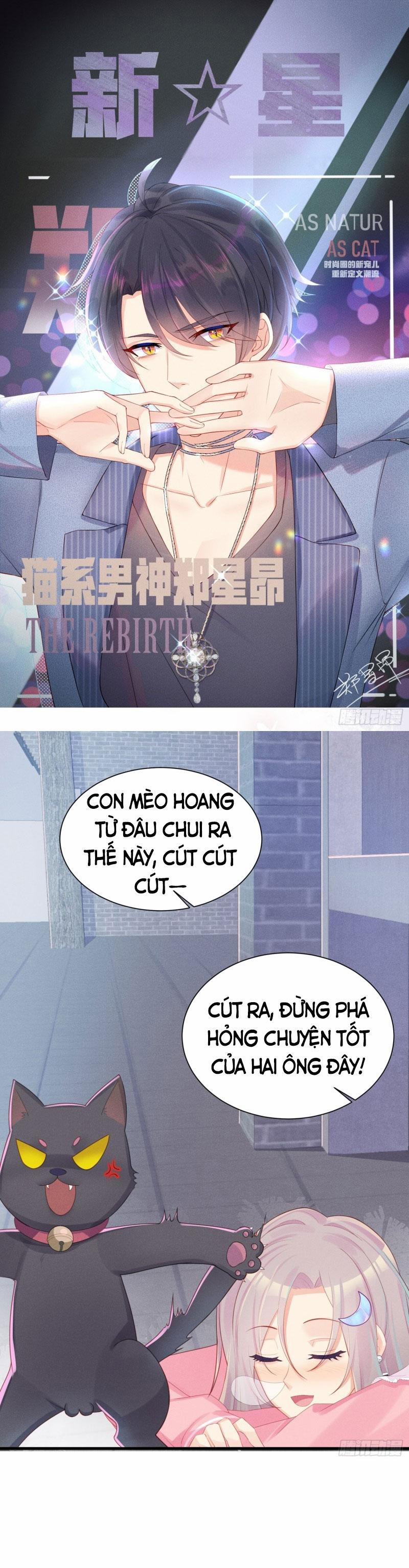 Tiểu Cá Koi Độc Quyền Của Ông Trùm Đỉnh Lưu 11 trang 0