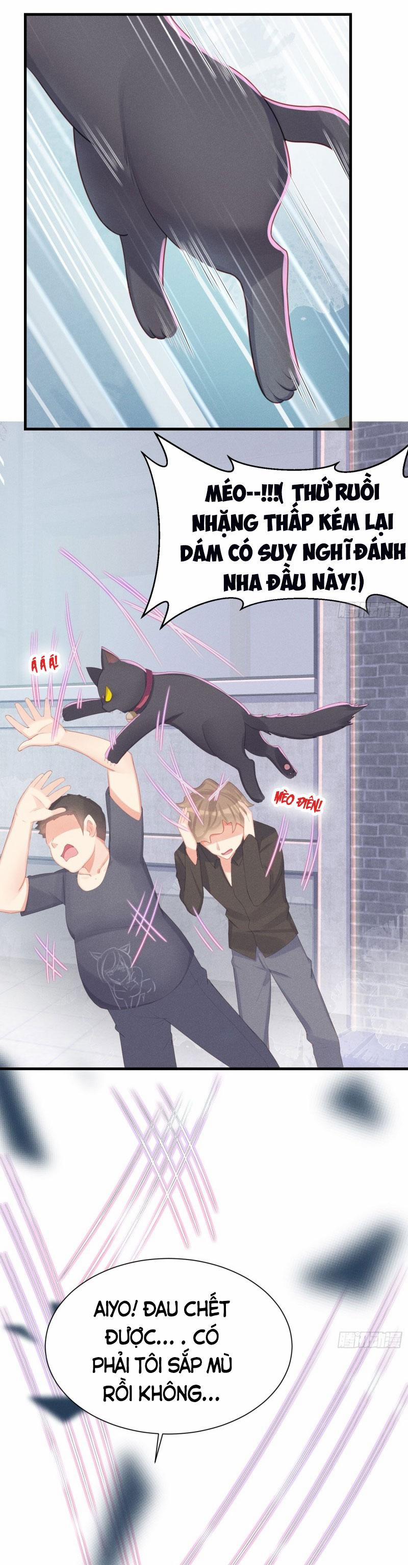 Tiểu Cá Koi Độc Quyền Của Ông Trùm Đỉnh Lưu 11 trang 1