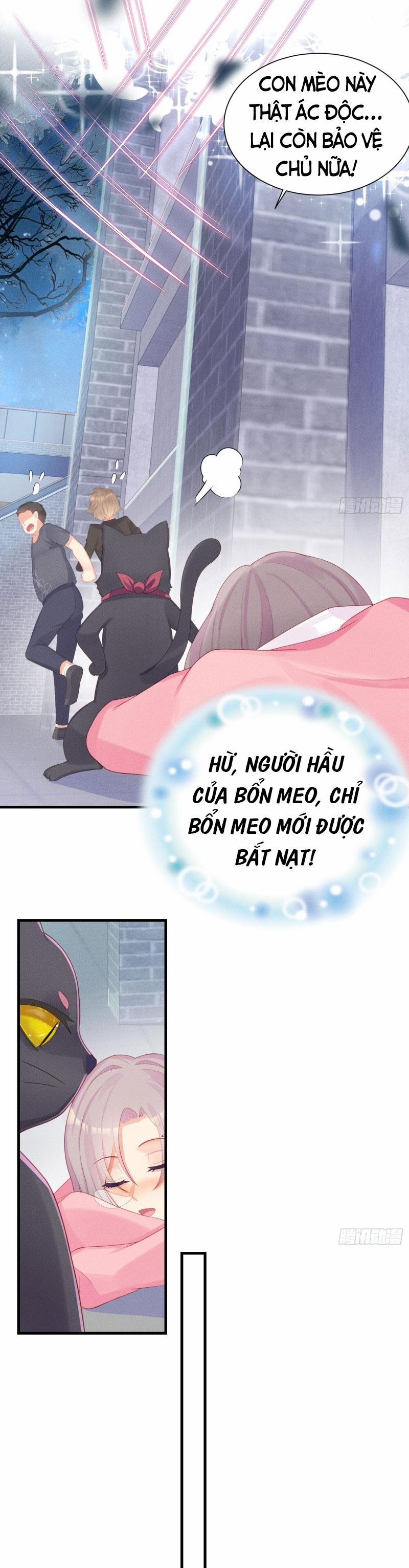 Tiểu Cá Koi Độc Quyền Của Ông Trùm Đỉnh Lưu 11 trang 2