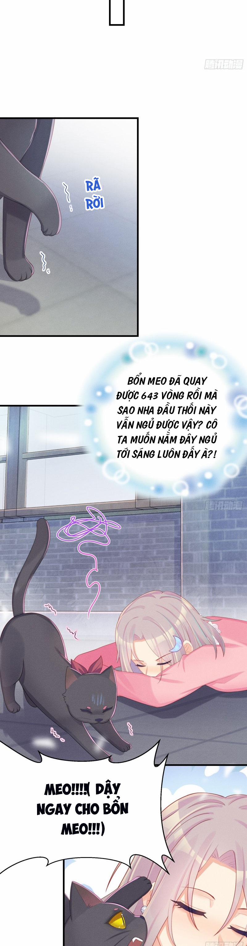 Tiểu Cá Koi Độc Quyền Của Ông Trùm Đỉnh Lưu 11 trang 3