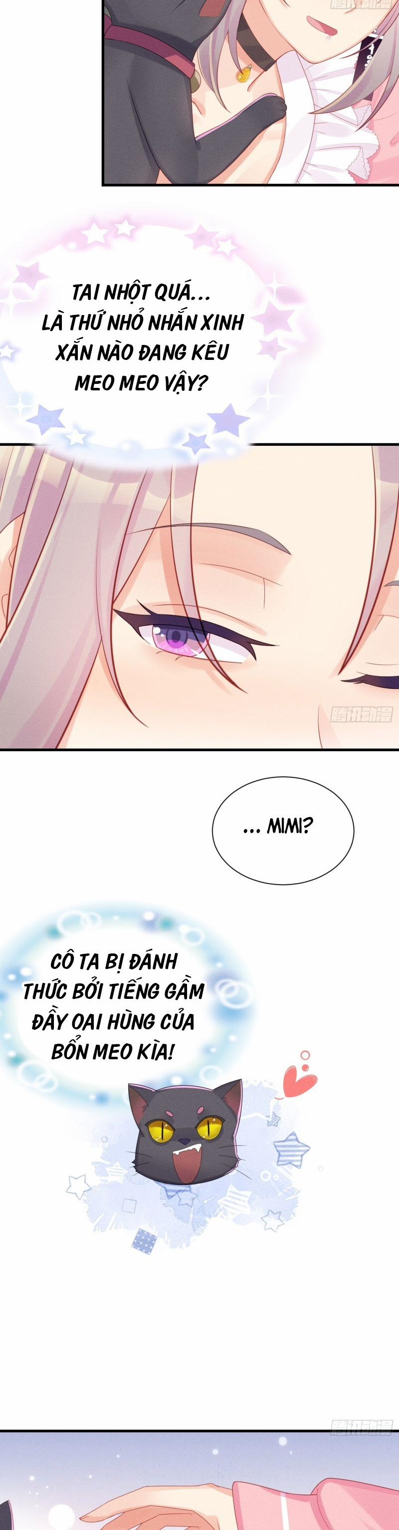 Tiểu Cá Koi Độc Quyền Của Ông Trùm Đỉnh Lưu 11 trang 4