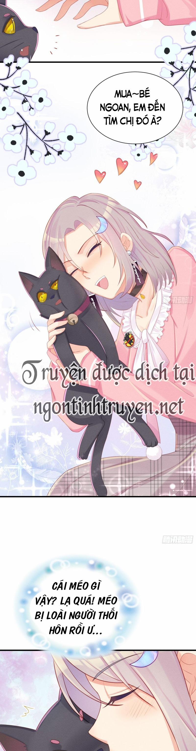 Tiểu Cá Koi Độc Quyền Của Ông Trùm Đỉnh Lưu 11 trang 5