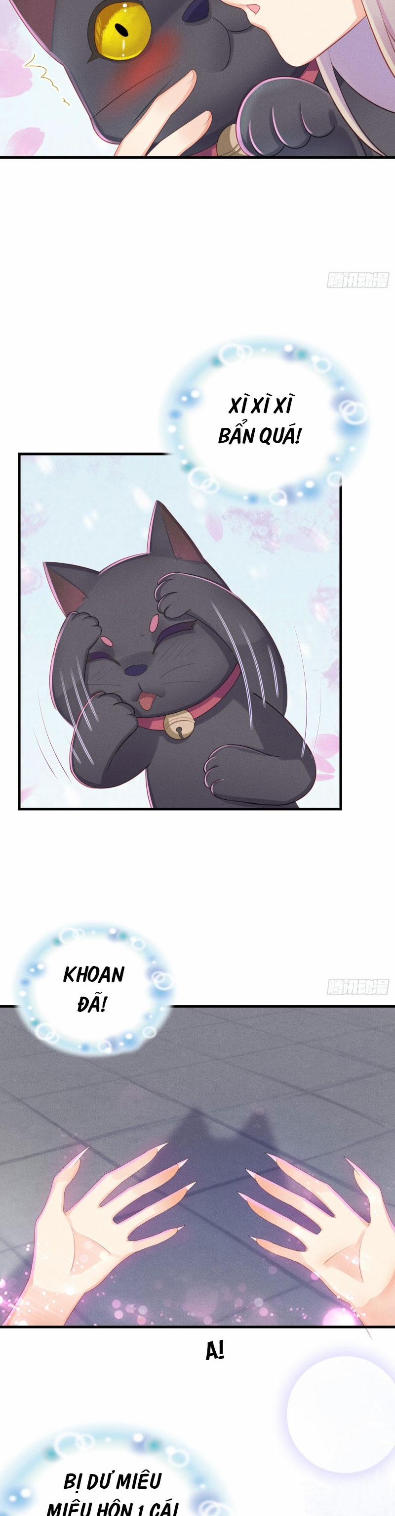 Tiểu Cá Koi Độc Quyền Của Ông Trùm Đỉnh Lưu 11 trang 6