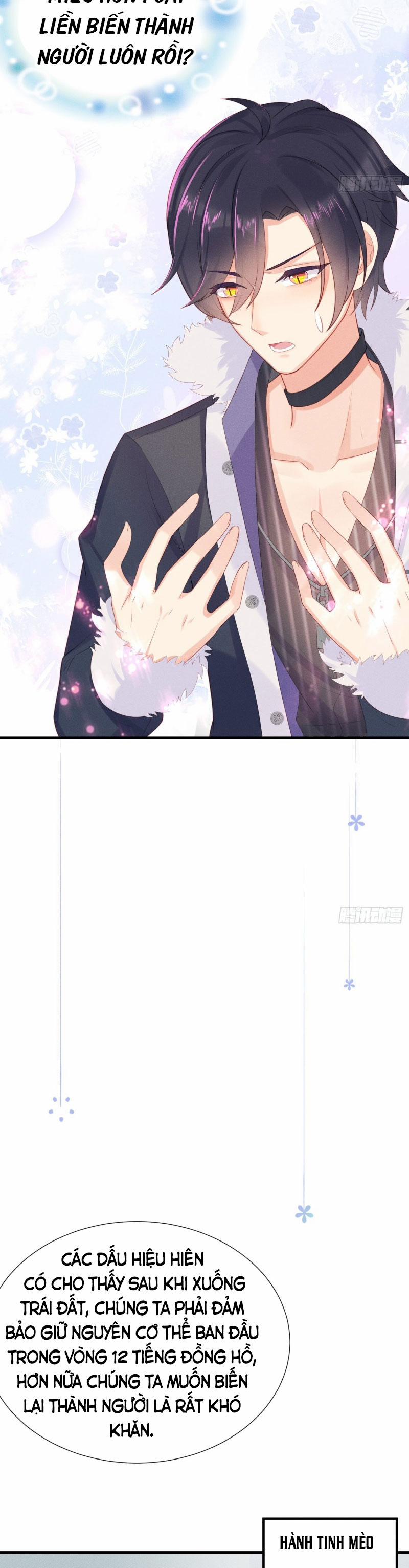 Tiểu Cá Koi Độc Quyền Của Ông Trùm Đỉnh Lưu 11 trang 7