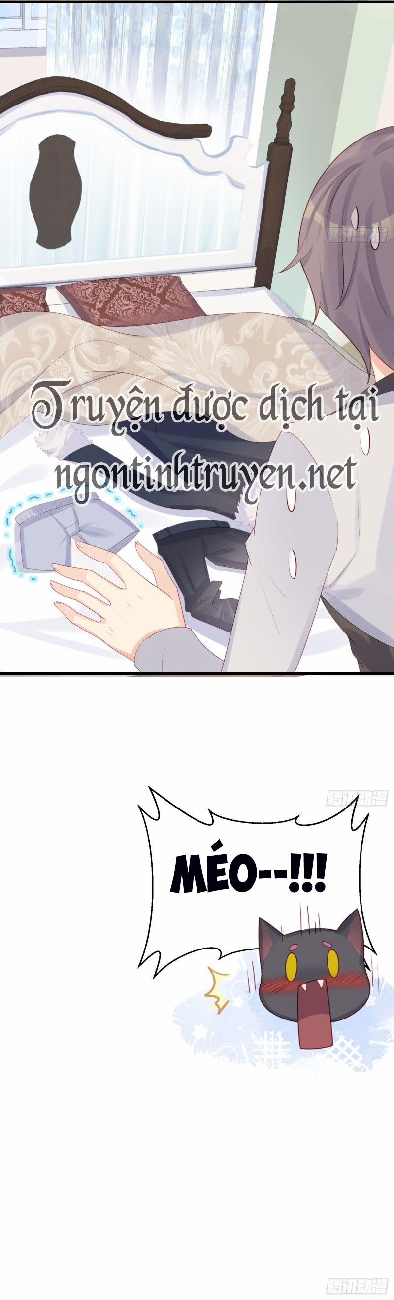 Tiểu Cá Koi Độc Quyền Của Ông Trùm Đỉnh Lưu 12 trang 19