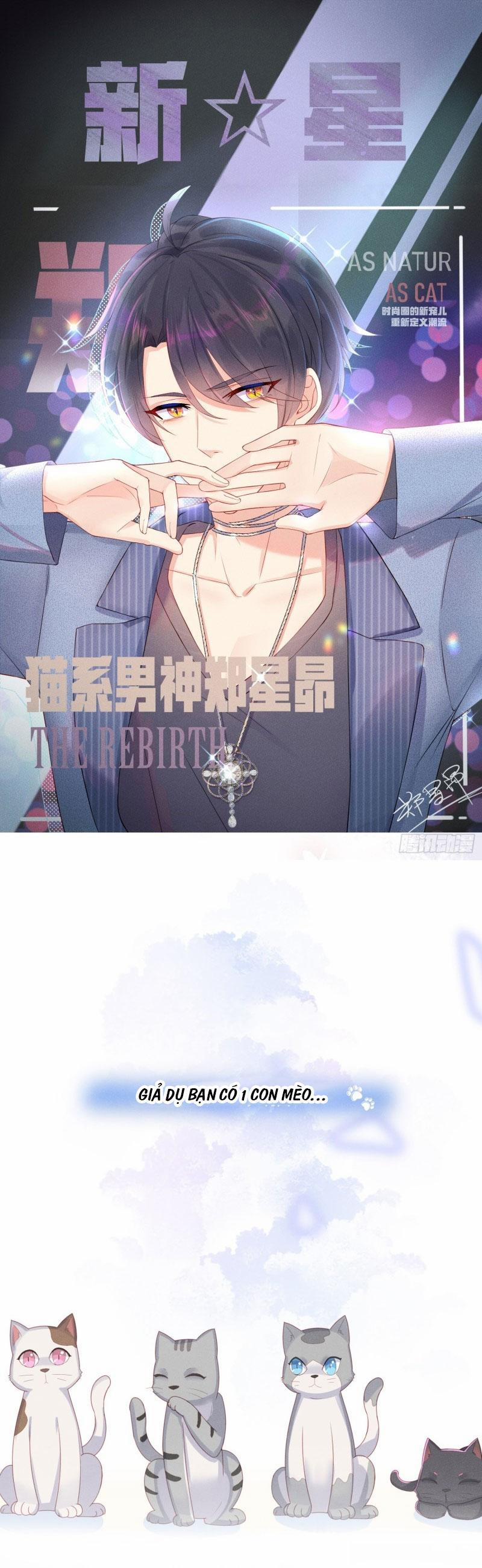 Tiểu Cá Koi Độc Quyền Của Ông Trùm Đỉnh Lưu 13 trang 0