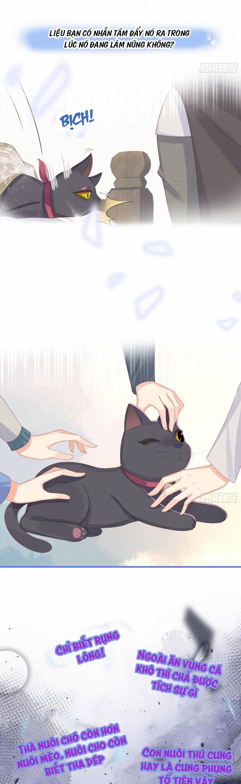 Tiểu Cá Koi Độc Quyền Của Ông Trùm Đỉnh Lưu 13 trang 1