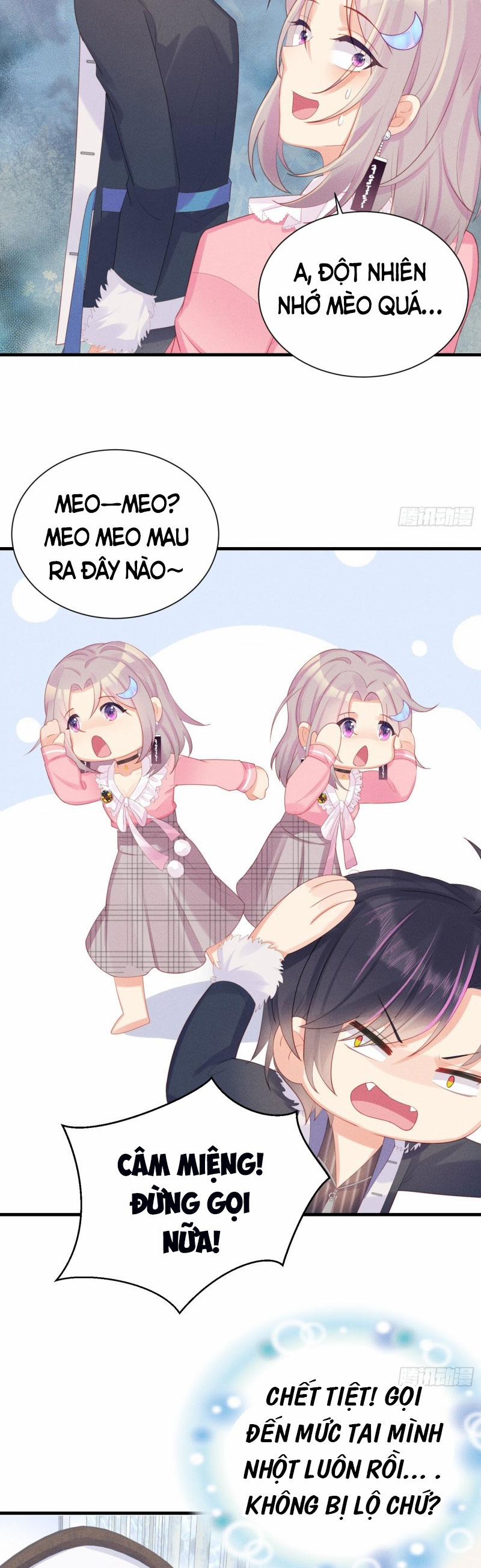 Tiểu Cá Koi Độc Quyền Của Ông Trùm Đỉnh Lưu 13 trang 14