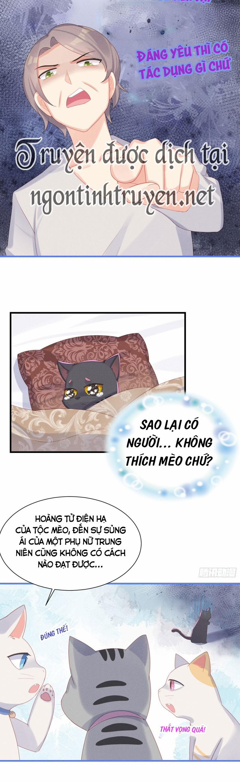 Tiểu Cá Koi Độc Quyền Của Ông Trùm Đỉnh Lưu 13 trang 2