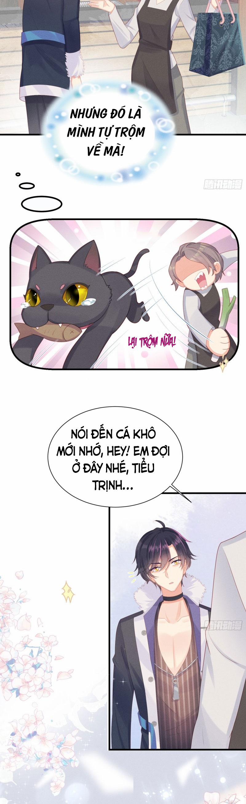 Tiểu Cá Koi Độc Quyền Của Ông Trùm Đỉnh Lưu 13 trang 7